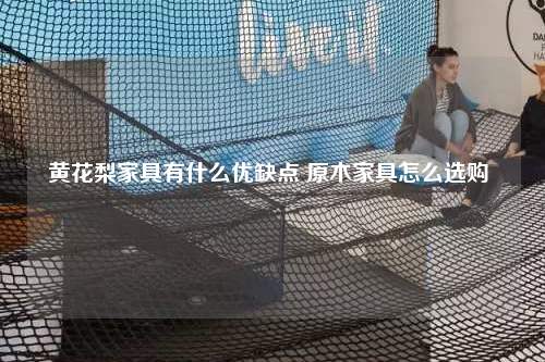 黃花梨家具有什么優(yōu)缺點(diǎn) 原木家具怎么選購