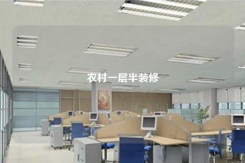 農村一層半裝修