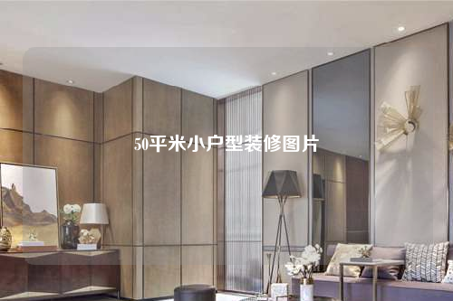 50平米小戶型裝修圖片