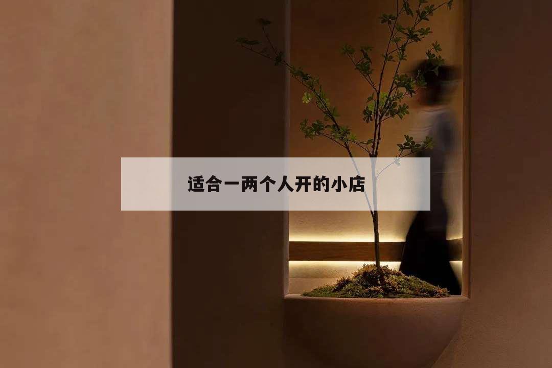 適合一兩個(gè)人開的小店,適合倆人開的小店