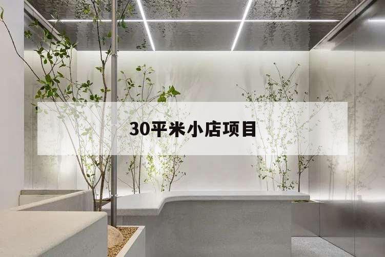 30平米小店項(xiàng)目,十平米小店項(xiàng)目