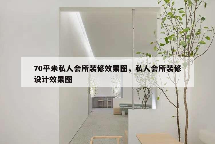 70平米私人會(huì)所裝修效果圖,私人會(huì)所裝修設(shè)計(jì)效果圖