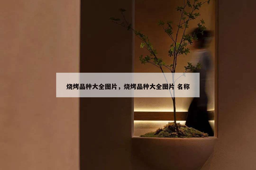 燒烤品種大全圖片,燒烤品種大全圖片 名稱