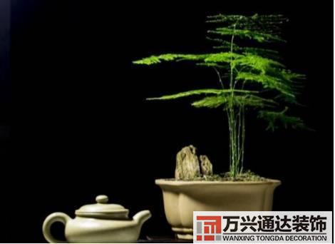 水仙花的風(fēng)水家里養(yǎng)水仙花風(fēng)水