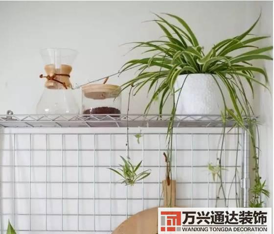 水仙花的風(fēng)水家里養(yǎng)水仙花風(fēng)水