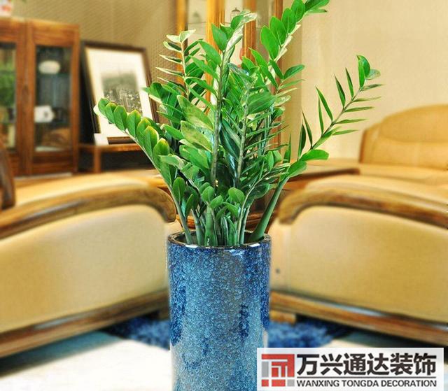 室內風水圖片室內風水布局圖解