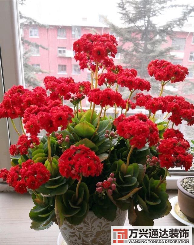 室內風水圖片室內風水布局圖解