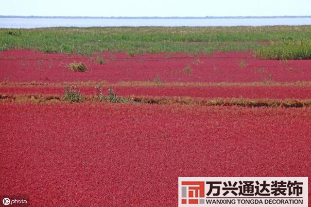 張學(xué)良風(fēng)水張學(xué)良風(fēng)水說