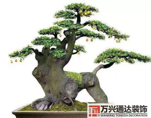 金彈子風(fēng)水金彈子風(fēng)水上怎么個(gè)說(shuō)法